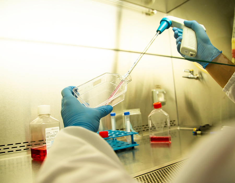 Bioteknologi & Farmasi